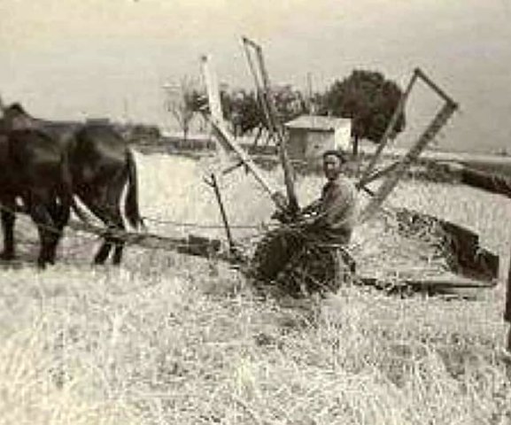 z. Labores agrícolas (1)
